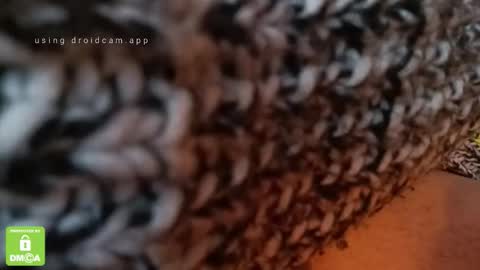 Snapshot of the_real_handjob_couple chatting on 02.04.26 The Real Hanjob Couple online show from 02.04.26