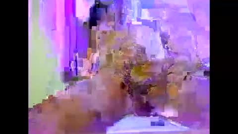 the_zy79 online show from 04.10.26