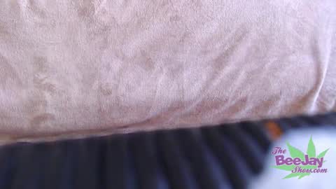 TheBeeJayShow online show from 12.04.24