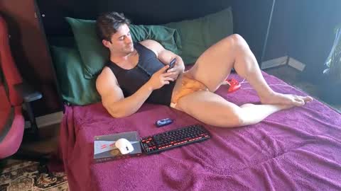 The Stallion online show from 03.02.26