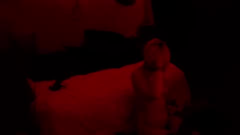 thehungmantis online show from 10.15.25