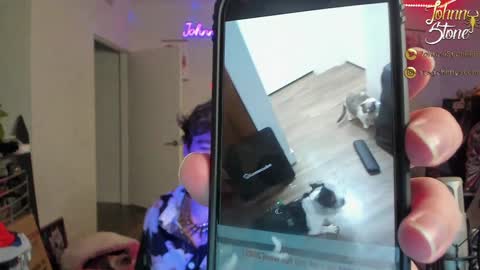 Johnny Stone online show from 12.29.24