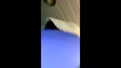 theonlyboi43ver online show from 11.04.25