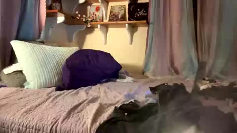 theonlyboi43ver online show from 12.17.25