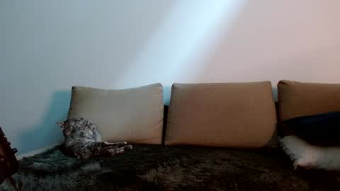 Yoshi online show from 01.11.25