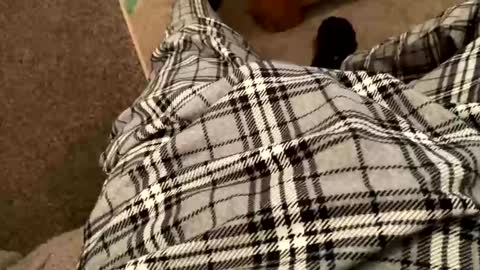 therealpietro77 online show from 02.05.26