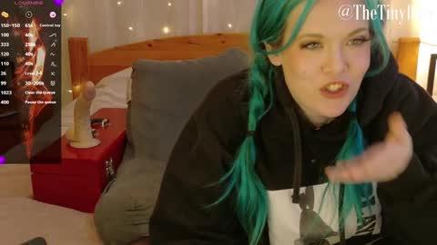 Snapshot of thetinyblue chatting on 02.28.25 Tiny Blue online show from 02.28.25