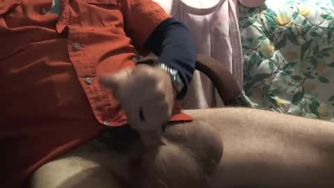 thetnguy online show from 12.23.24