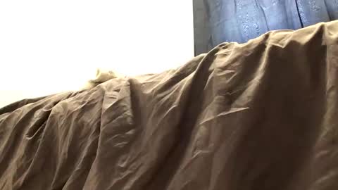 thickdickclit online show from 03.27.26
