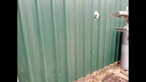 Snapshot of throbmasterr chatting on 09.12.25 throbmasterr online show from 09.12.25