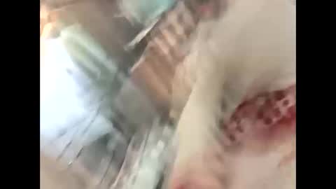 thunder8u42 online show from 10.10.25