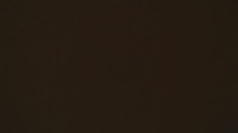 Snapshot of tiana_scot chatting on 04.02.26 LIA online show from 04.02.26