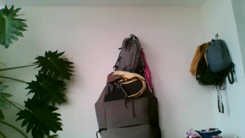 Snapshot of tiaretiareopui chatting on 10.31.25 tiaretiareopui online show from 10.31.25