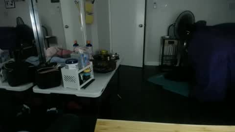 Snapshot of tierrahenri chatting on 10.24.25 Tierra Henri online show from 10.24.25