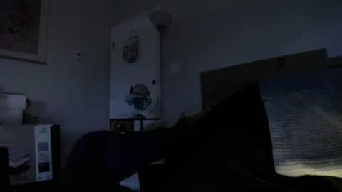 Snapshot of tierrahenri chatting on 11.16.25 Tierra Henri online show from 11.16.25