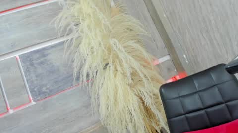 Tiffany online show from 02.05.25