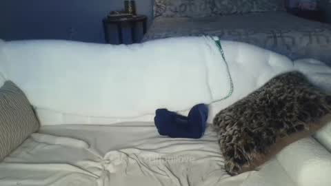 Tiffani Love online show from 02.08.25