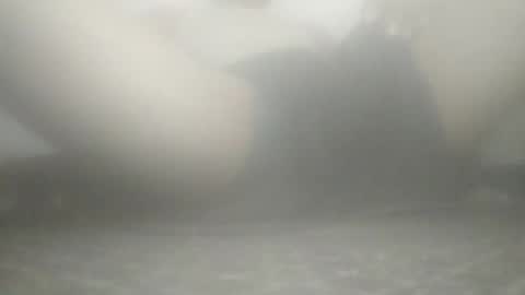 tiger005588 online show from 11.21.25