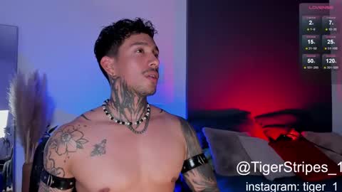 Snapshot of tigerstripes_ chatting on 02.02.25 Chris online show from 02.02.25
