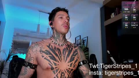 Snapshot of tigerstripes_ chatting on 02.22.25 Chris online show from 02.22.25