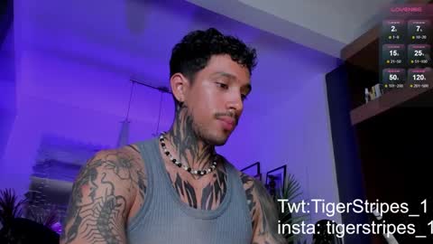 Snapshot of tigerstripes_ chatting on 03.02.25 Chris online show from 03.02.25