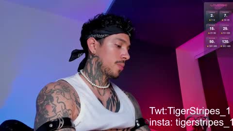 Snapshot of tigerstripes_ chatting on 03.11.25 Chris online show from 03.11.25