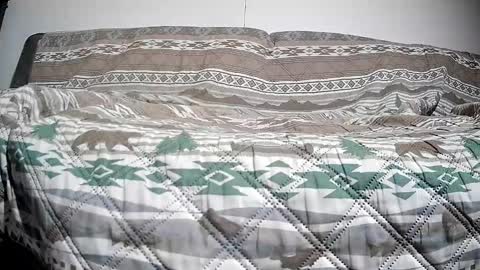 Casey online show from 12.13.24