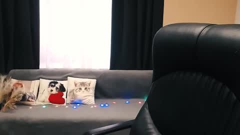 Luisa online show from 11.14.25