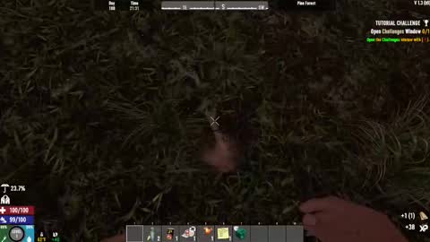 Snapshot of timlooking1 chatting on 02.15.25 TimLooking online show from 02.15.25