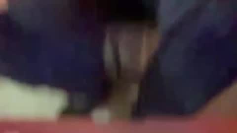 Snapshot of timplaw chatting on 01.03.25 Timplaw online show from 01.03.25