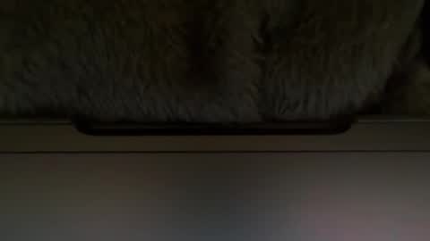 Snapshot of timplaw chatting on 02.11.25 Timplaw online show from 02.11.25