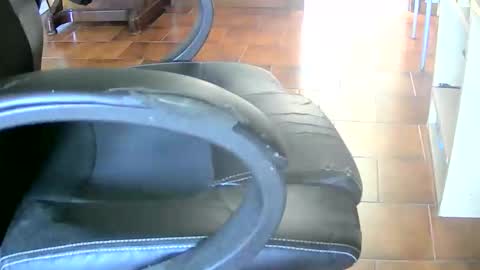 Tobiko online show from 04.26.26