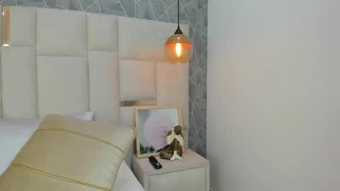 Snapshot of tokiolee chatting on 02.20.25 Tokio lee online show from 02.20.25