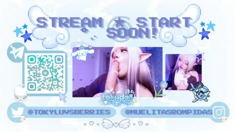 toky         online show from 04.03.26