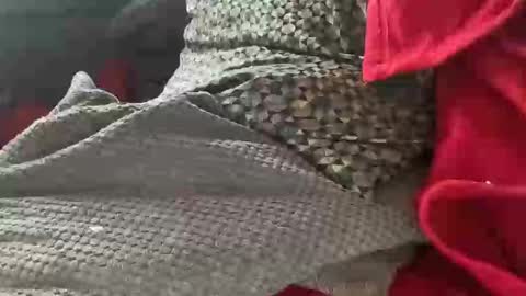 Tom online show from 01.09.25