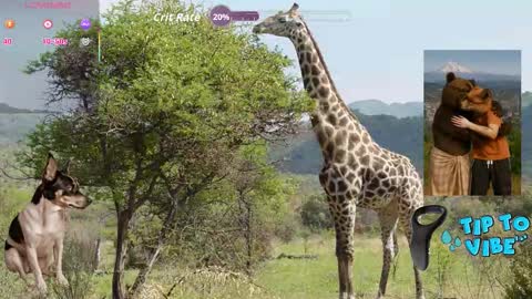 Tomaz62a online show from 10.30.25