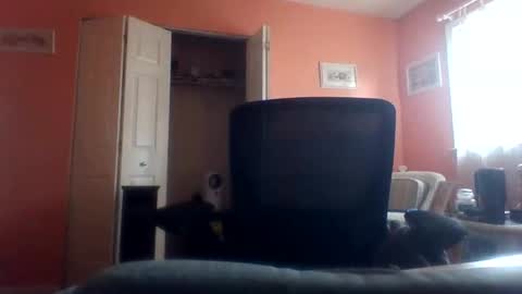 tomcat4848 online show from 04.22.26