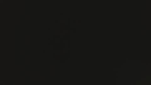 Snapshot of tomylela chatting on 12.01.25 tomylela online show from 12.01.25