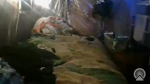 Snapshot of tootall1991420 chatting on 10.26.25 tootall1991420 online show from 10.26.25