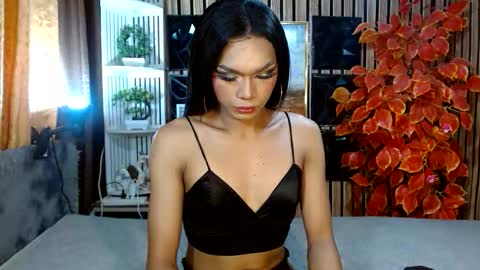 toptrans venice online show from 02.20.26