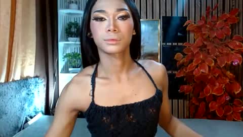 toptrans venice online show from 02.22.26