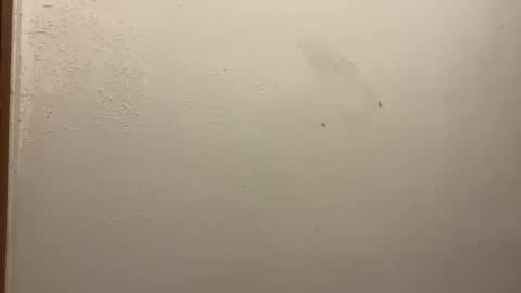 toronto5656 online show from 02.05.25