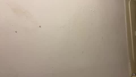 toronto5656 online show from 03.03.25