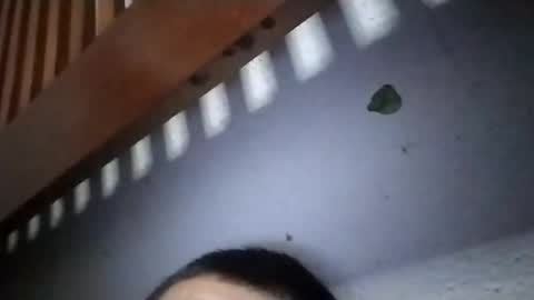 torresabel762 online show from 04.19.26