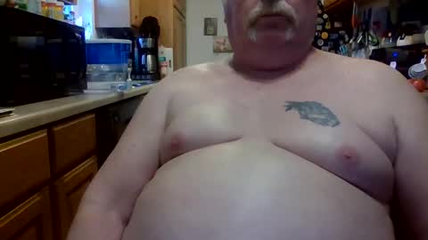 torture meplease online show from 02.11.25