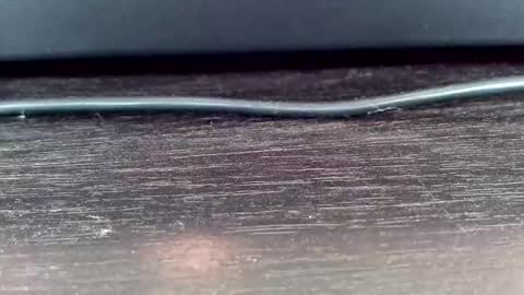 Vasiliy online show from 02.24.25