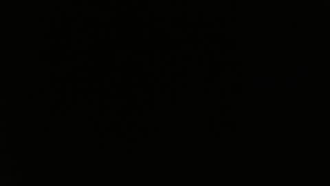 totoro_239 online show from 03.24.26