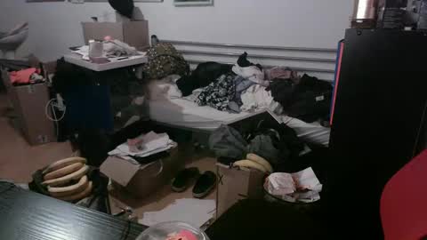 Totox online show from 12.29.24