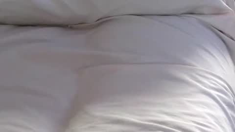 Jim online show from 01.31.25