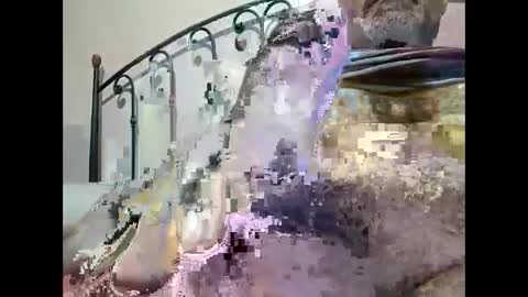 tra649167 online show from 12.23.24